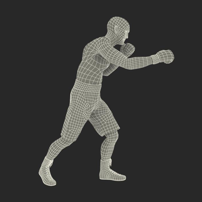 Adult Boxer Man 2 Pose 3 3D model