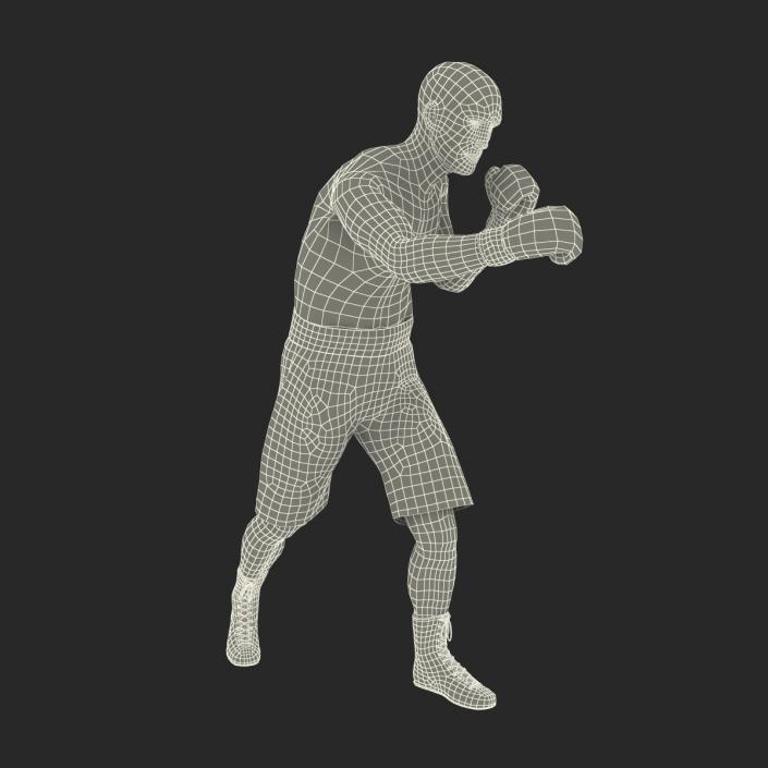 Adult Boxer Man 2 Pose 3 3D model