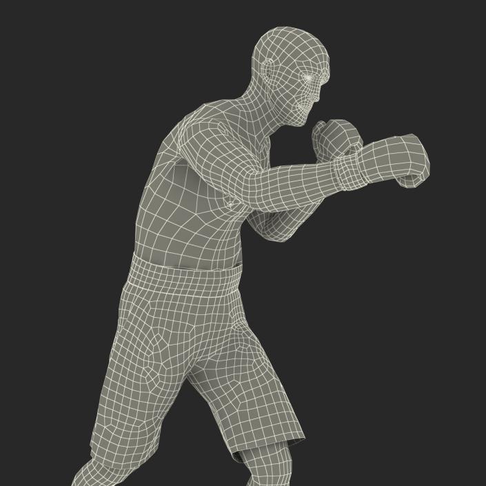 Adult Boxer Man 2 Pose 3 3D model