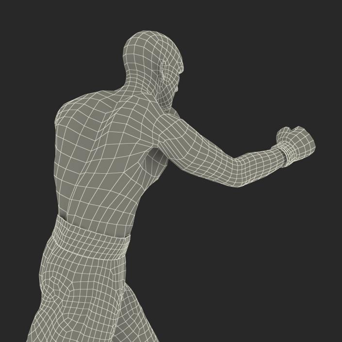 Adult Boxer Man 2 Pose 3 3D model