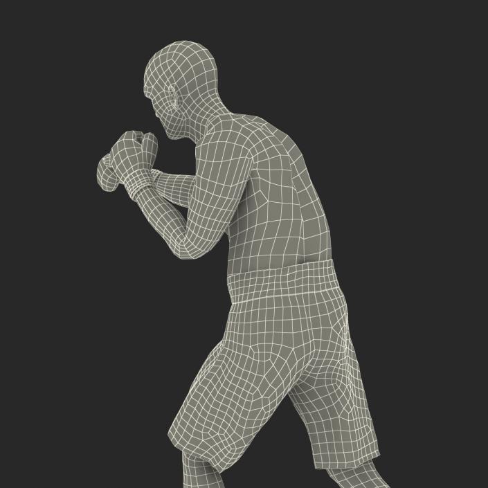 Adult Boxer Man 2 Pose 3 3D model