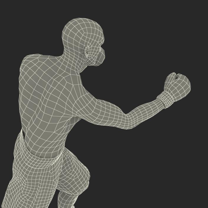 Adult Boxer Man 2 Pose 3 3D model