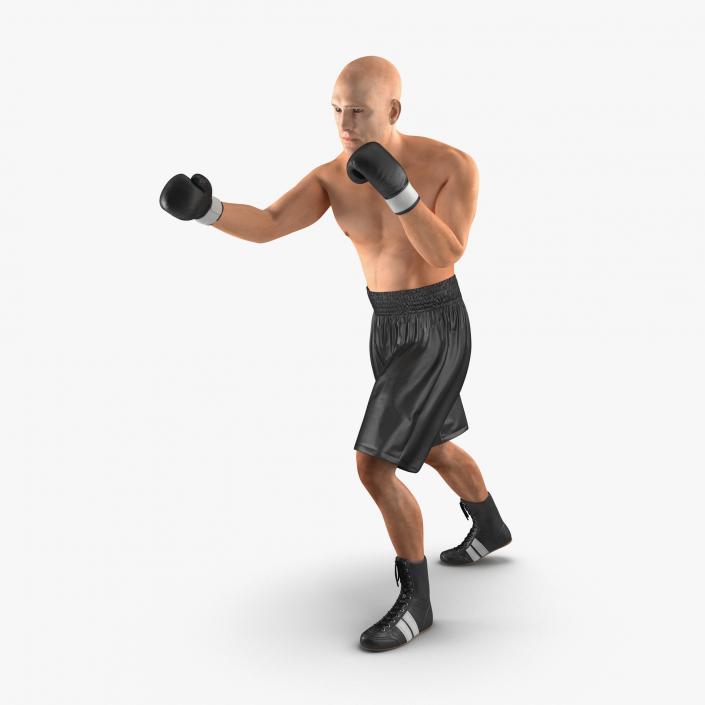 Adult Boxer Man 2 Pose 3 3D model