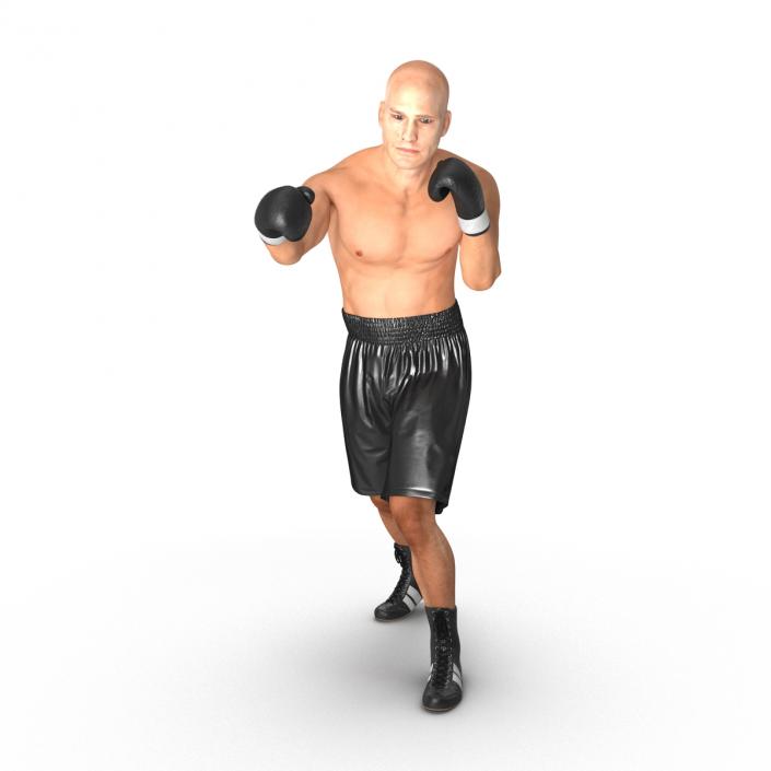 Adult Boxer Man 2 Pose 3 3D model