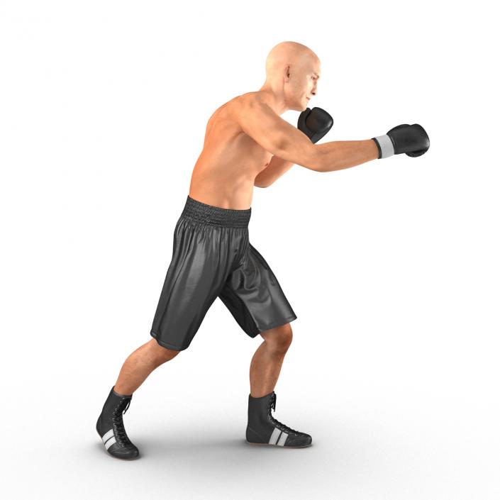 Adult Boxer Man 2 Pose 3 3D model