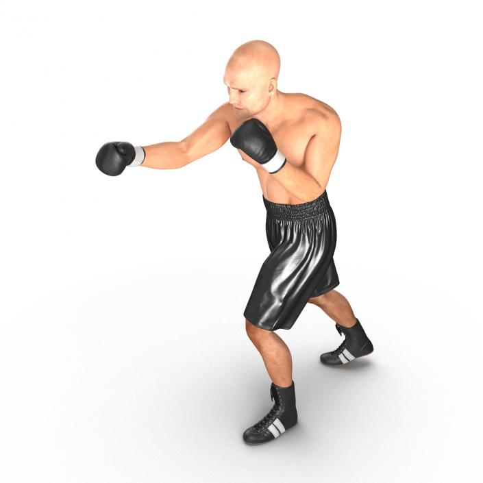 Adult Boxer Man 2 Pose 3 3D model