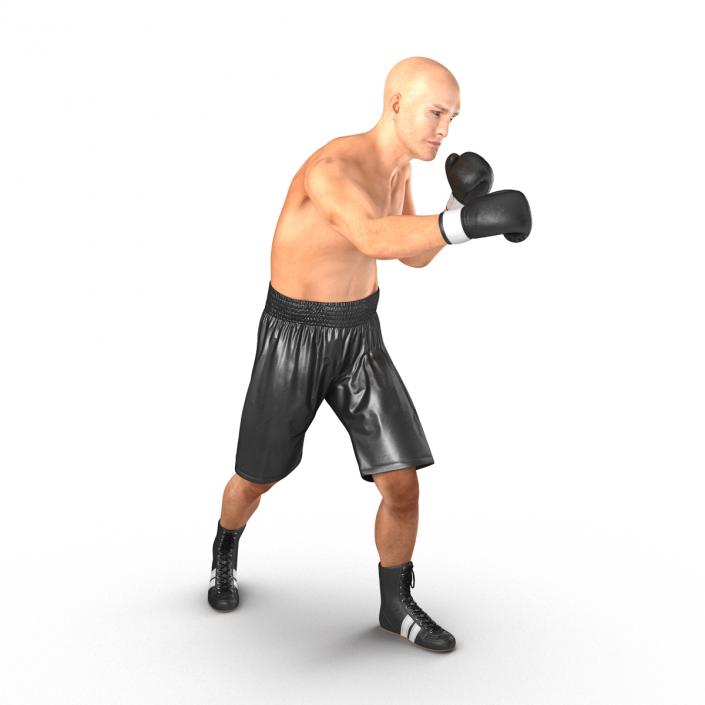 Adult Boxer Man 2 Pose 3 3D model