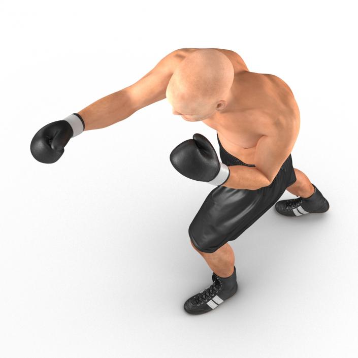 Adult Boxer Man 2 Pose 3 3D model