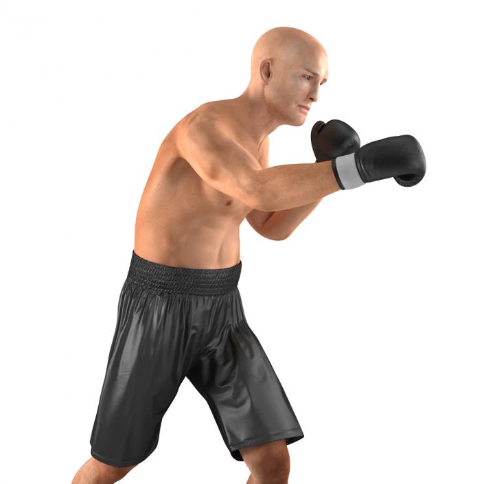 Adult Boxer Man 2 Pose 3 3D model