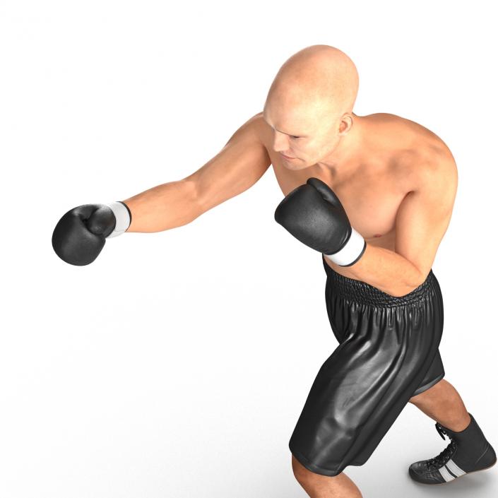 Adult Boxer Man 2 Pose 3 3D model