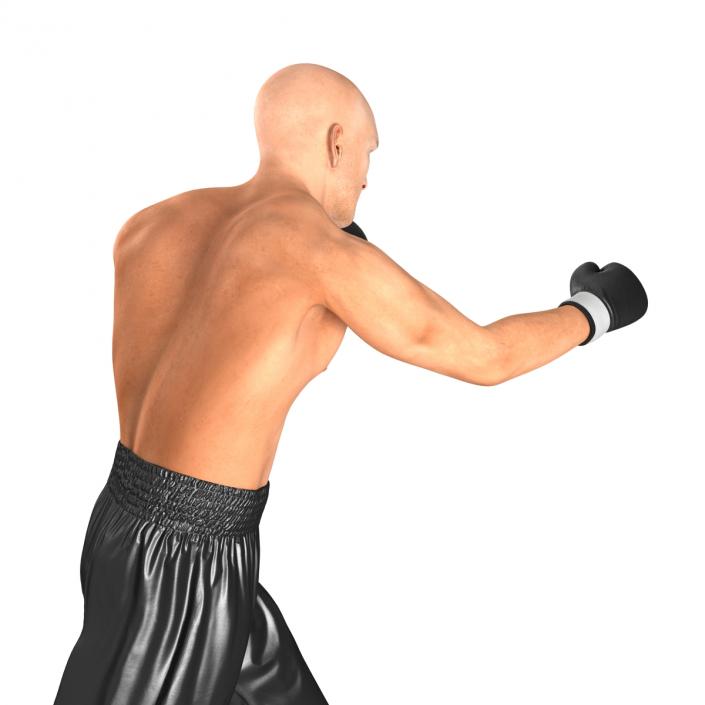 Adult Boxer Man 2 Pose 3 3D model