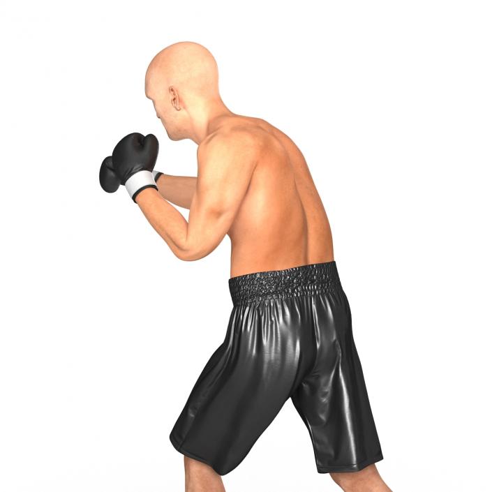 Adult Boxer Man 2 Pose 3 3D model