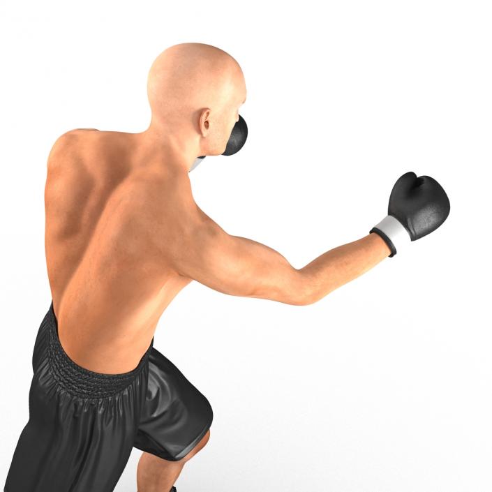 Adult Boxer Man 2 Pose 3 3D model