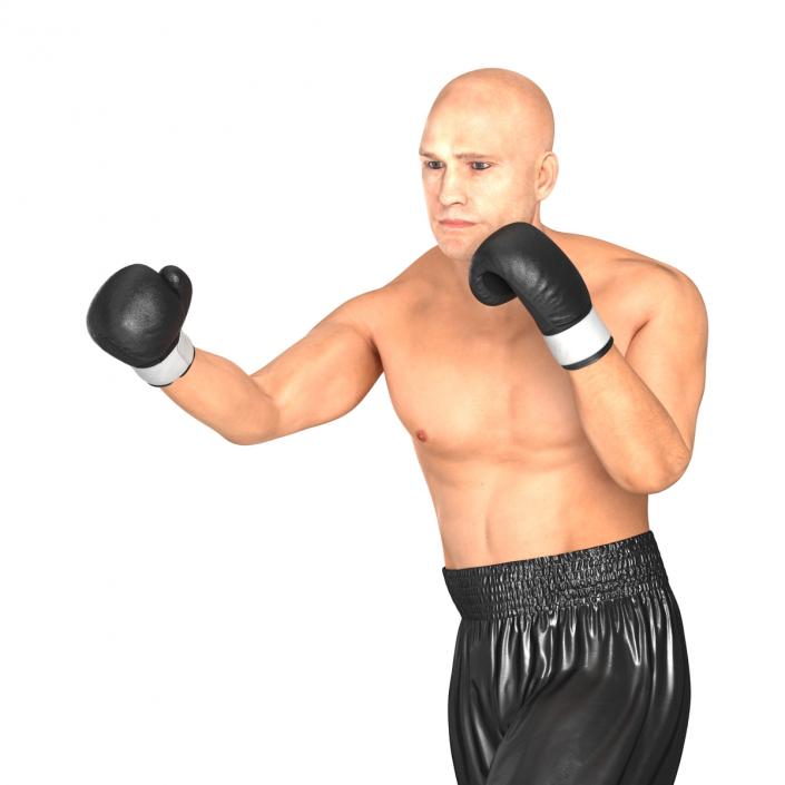 Adult Boxer Man 2 Pose 3 3D model