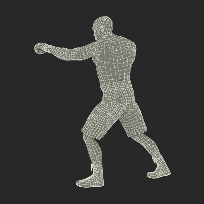 3D African American Boxer 2 Pose 3