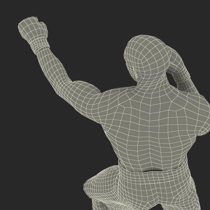 3D African American Boxer 2 Pose 3