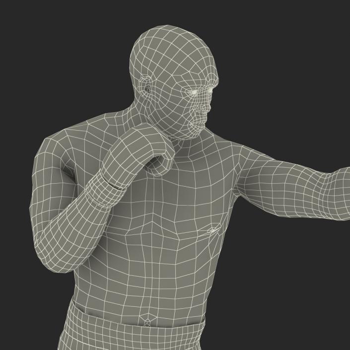 3D African American Boxer 2 Pose 3