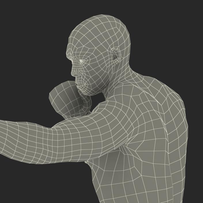 3D African American Boxer 2 Pose 3