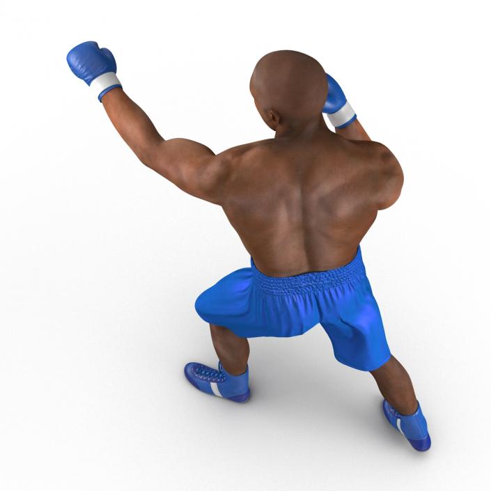 3D African American Boxer 2 Pose 3