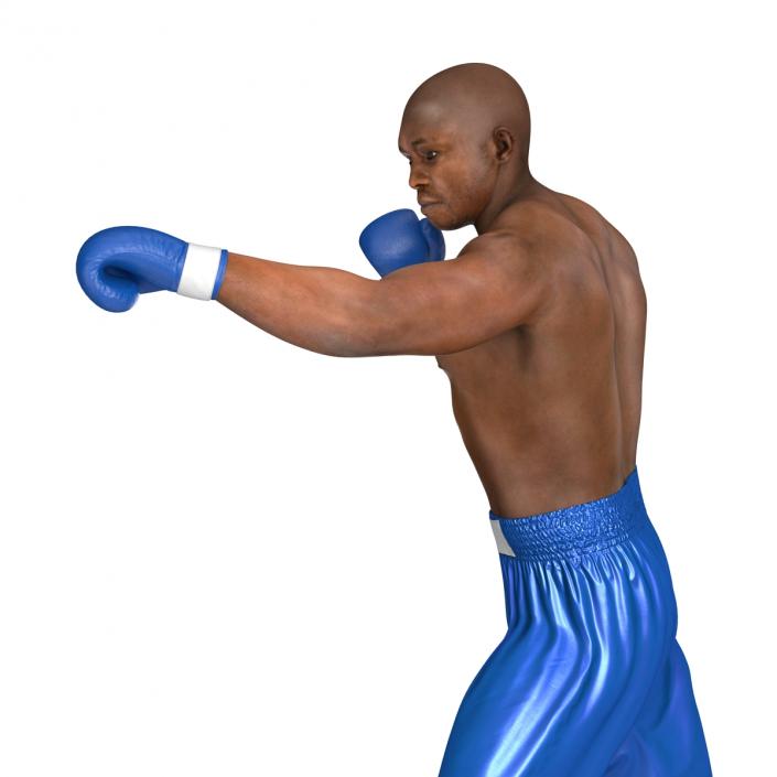 3D African American Boxer 2 Pose 3