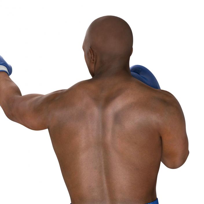 3D African American Boxer 2 Pose 3