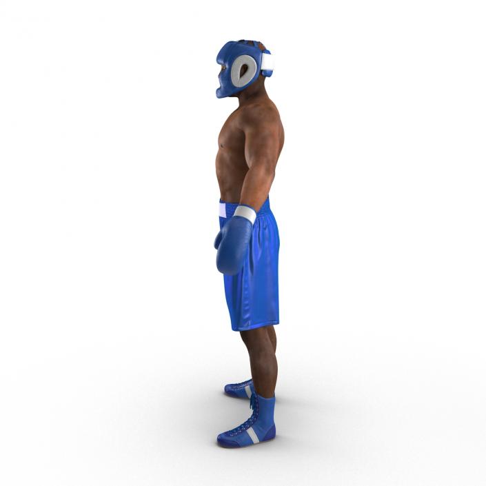 African American Boxer 3D