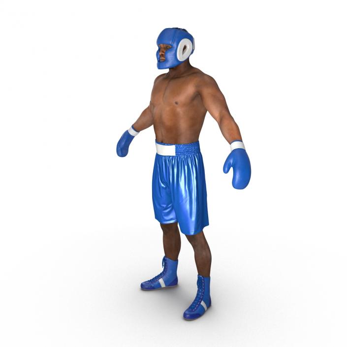 African American Boxer 3D