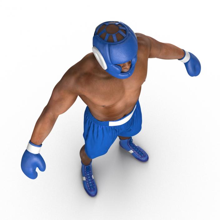 African American Boxer 3D