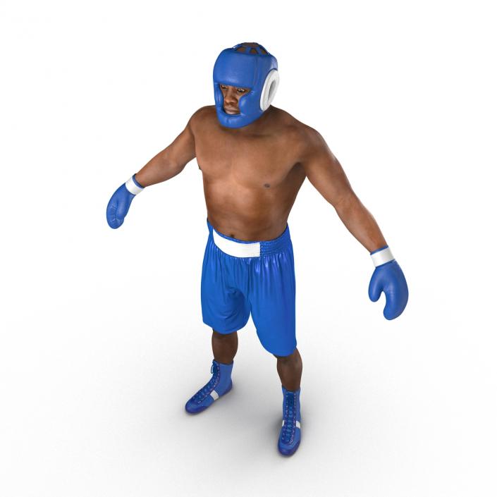 African American Boxer 3D