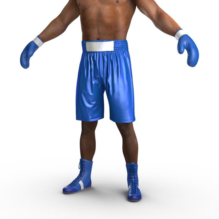 African American Boxer 3D