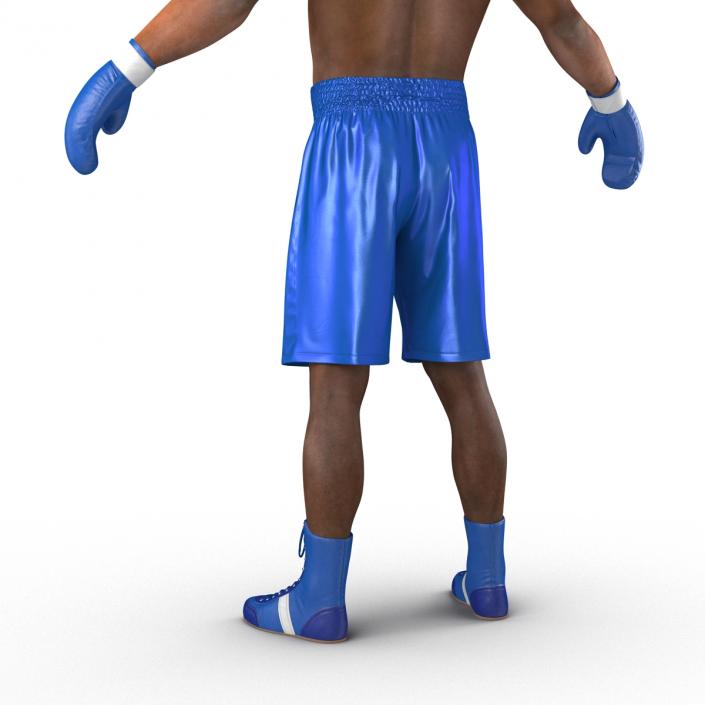 African American Boxer 3D