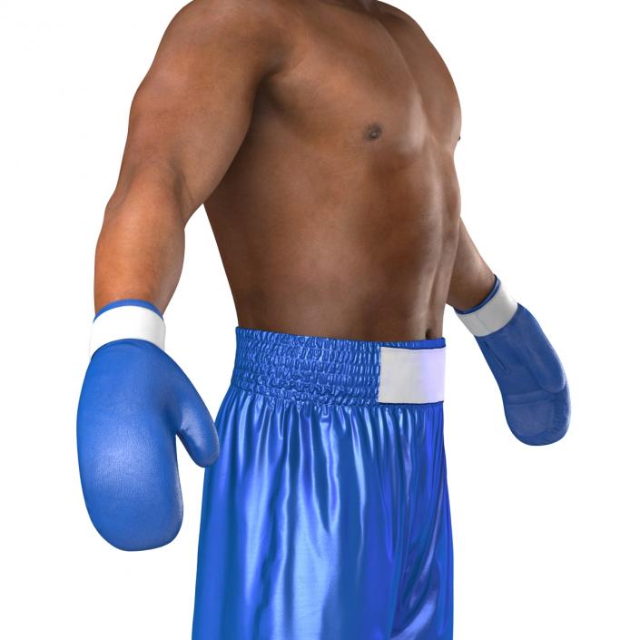 African American Boxer 3D