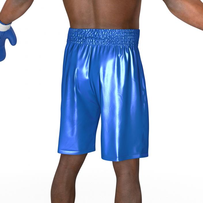 African American Boxer 3D