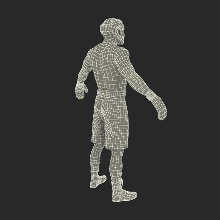 African American Boxer 3D