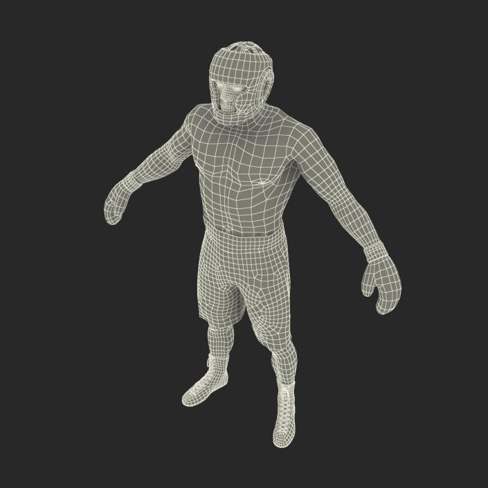 African American Boxer 3D