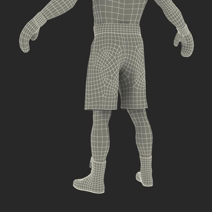 African American Boxer 3D