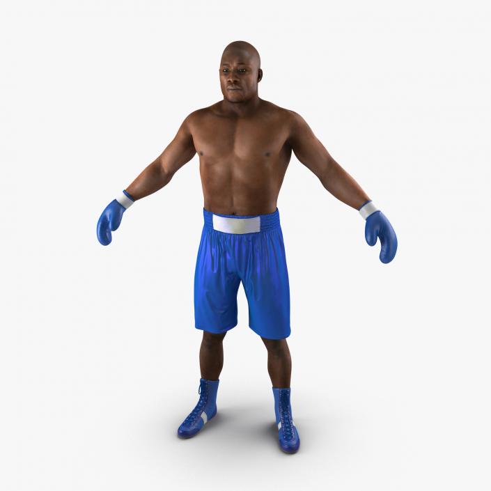 African American Boxer 2 3D model