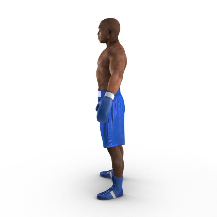 African American Boxer 2 3D model