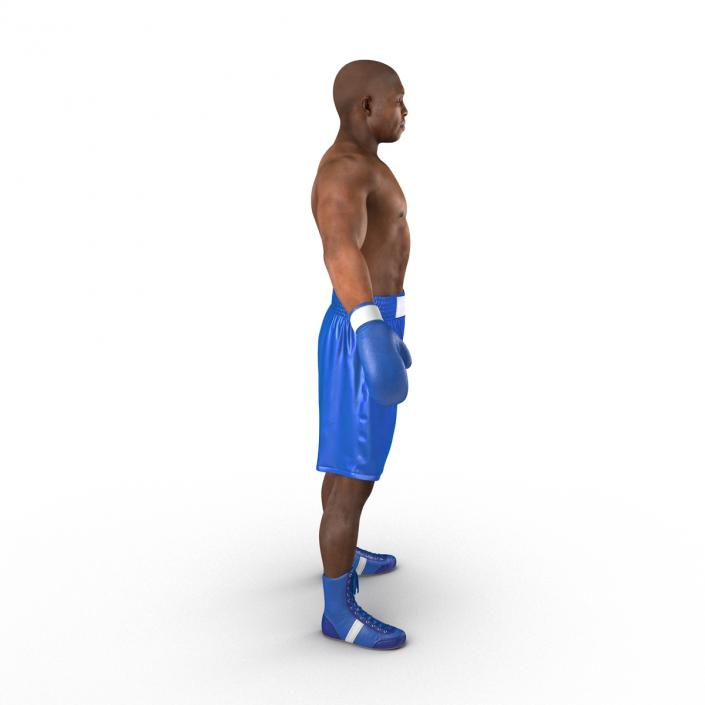 African American Boxer 2 3D model