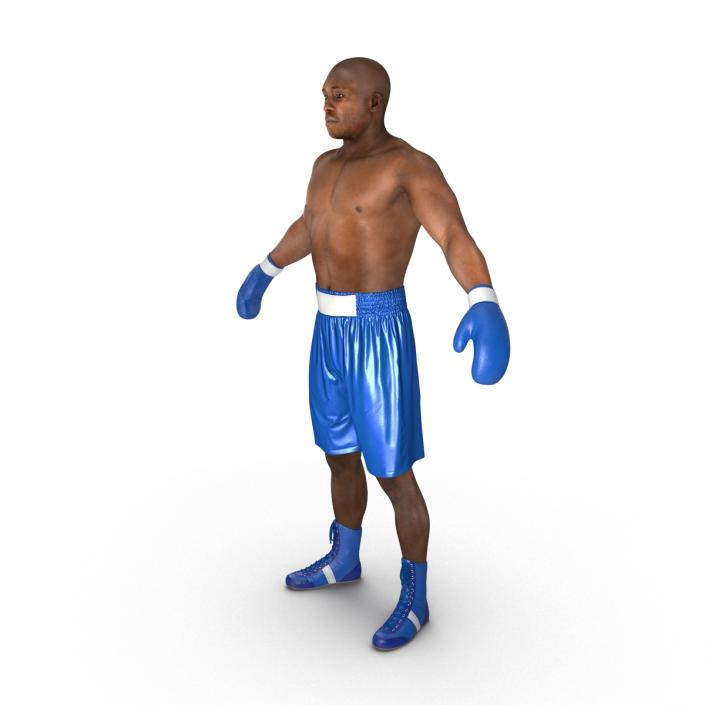 African American Boxer 2 3D model