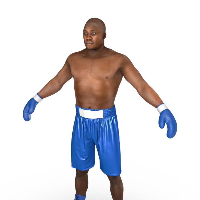 African American Boxer 2 3D model