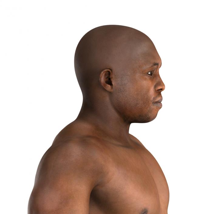 African American Boxer 2 3D model