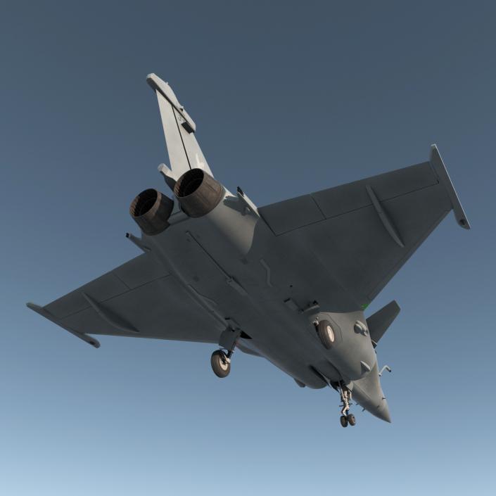 French Fighter Dassault Rafale Rigged 3D