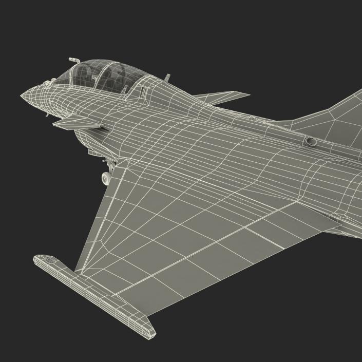 French Fighter Dassault Rafale Rigged 3D