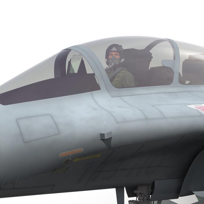 3D US Military Jet Fighter Pilot Rigged