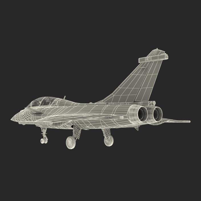 3D model French Fighter Dassault Rafale