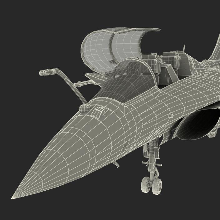 3D model French Fighter Dassault Rafale