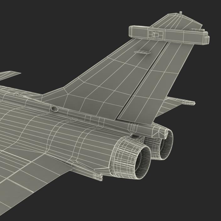 3D model French Fighter Dassault Rafale