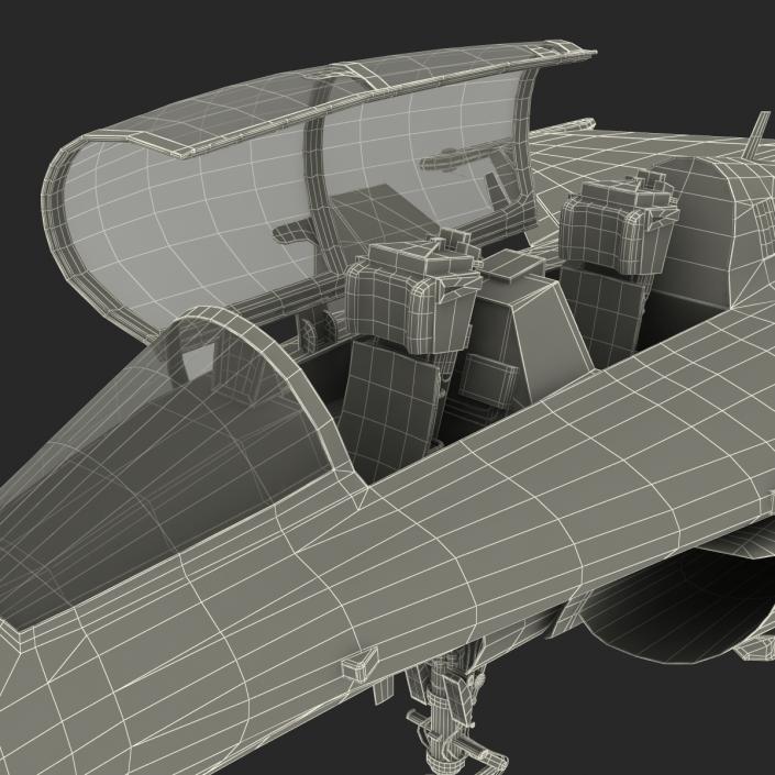 3D model French Fighter Dassault Rafale