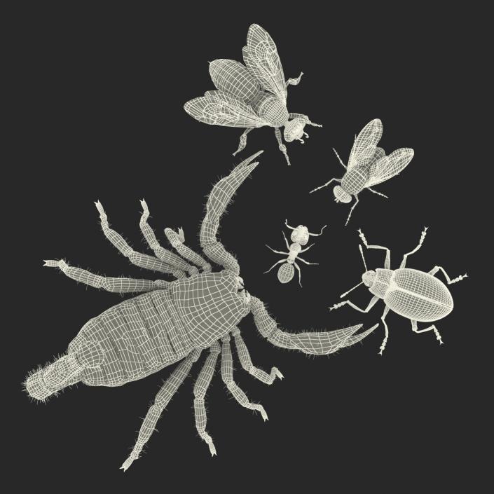 3D Insects Collection model